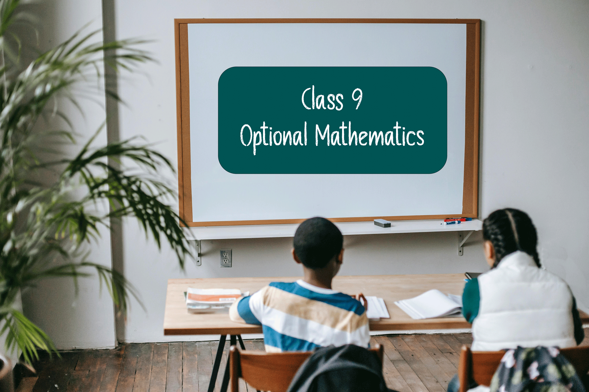 Class 9: Optional Math