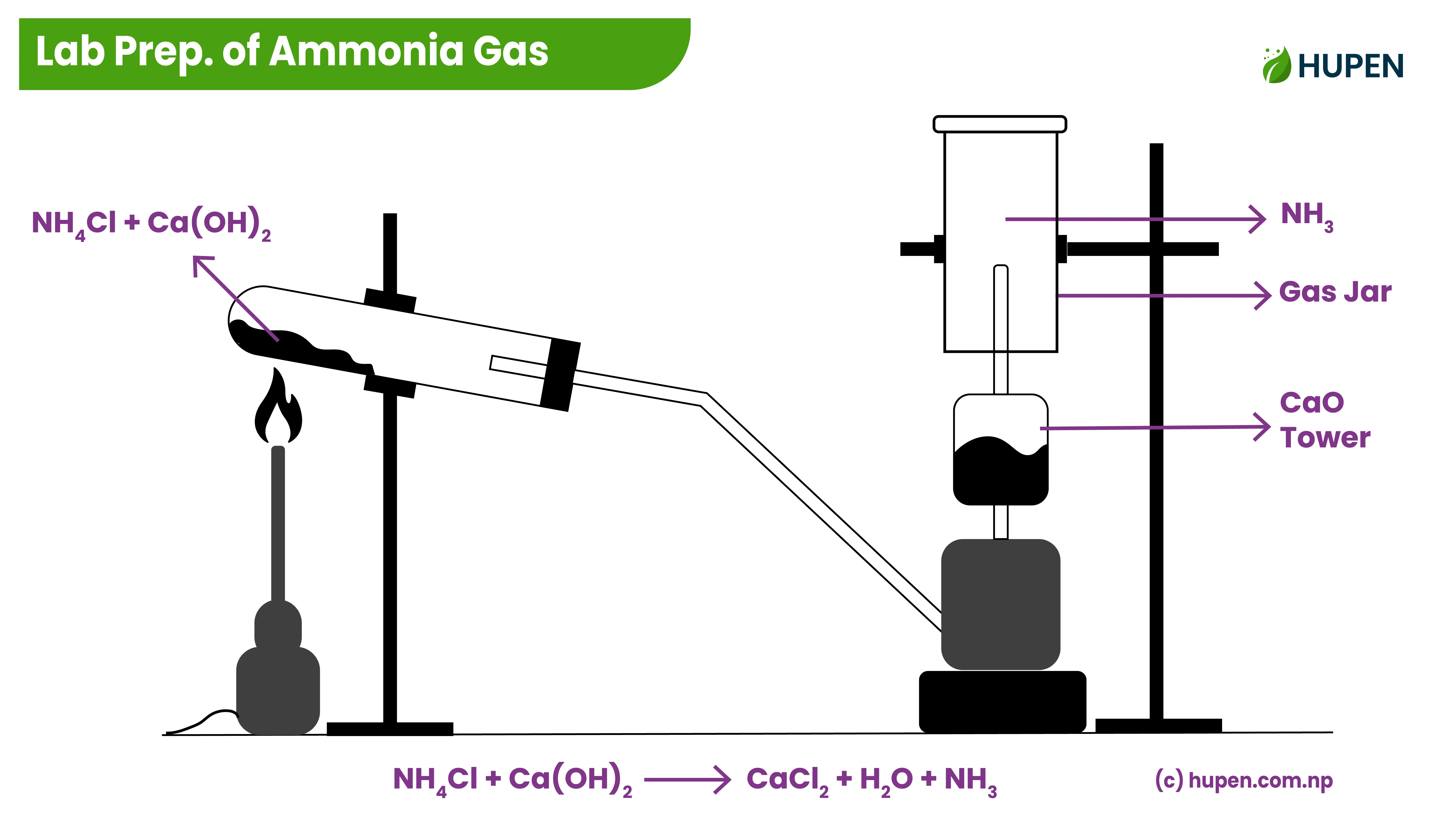 Laboratory Preparation of Ammonia Gas